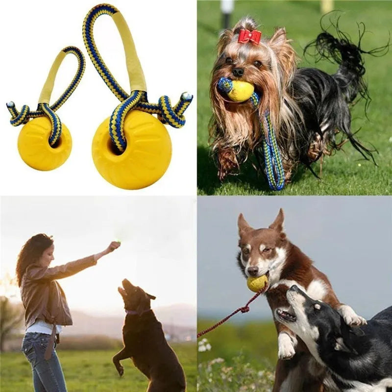 Indestructible Rubber Puppy Chew Ball – Fetch & Training Toy