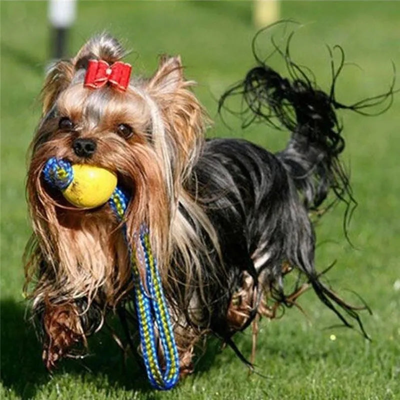 Indestructible Rubber Puppy Chew Ball – Fetch & Training Toy