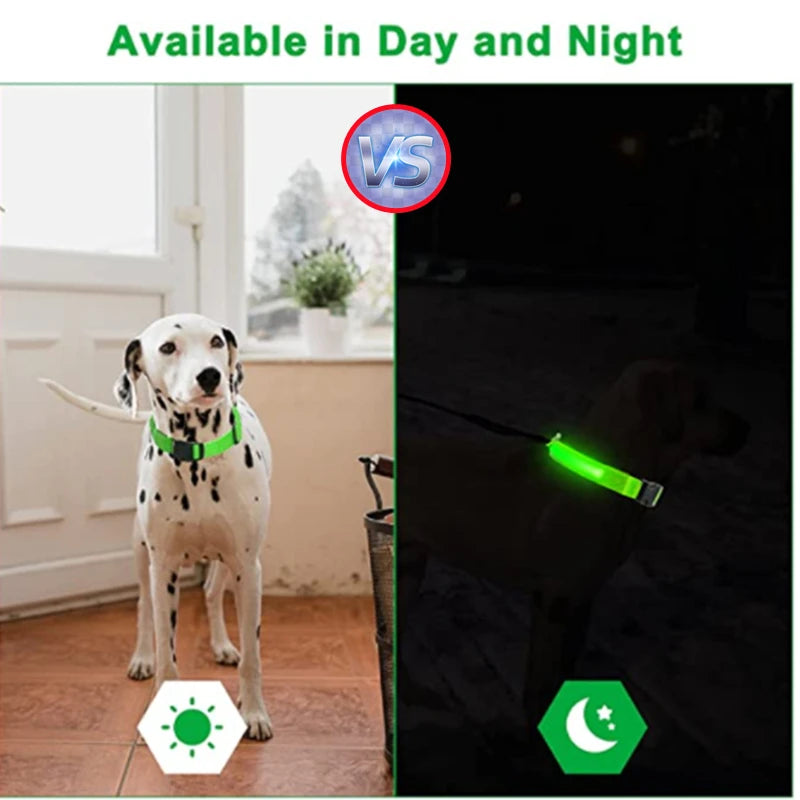 USB Rechargeable LED Dog & Cat Collar – Glowing Night Safety