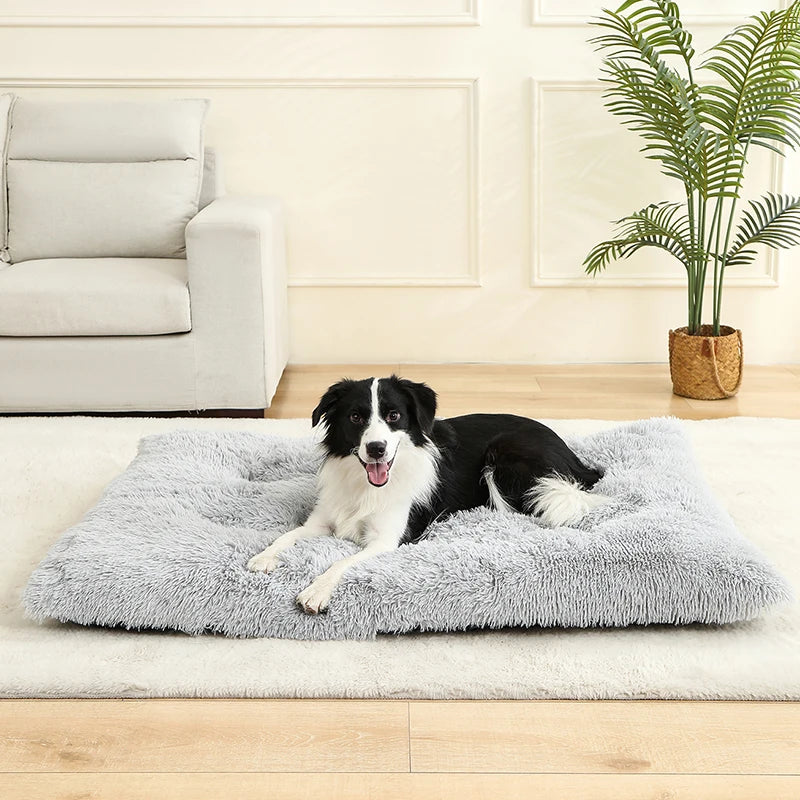 Plush Pet Bed House – Cozy Dog & Cat Sofa