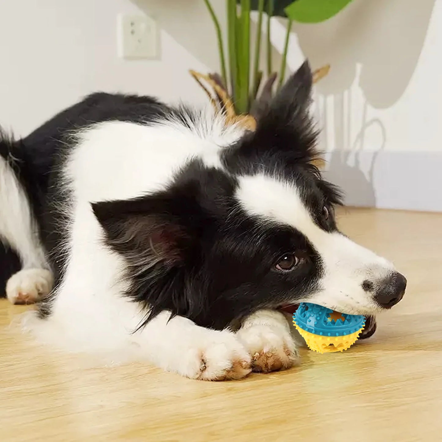 Interactive Chew Ball Dog Toy – Teeth Cleaning & Food Dispensing