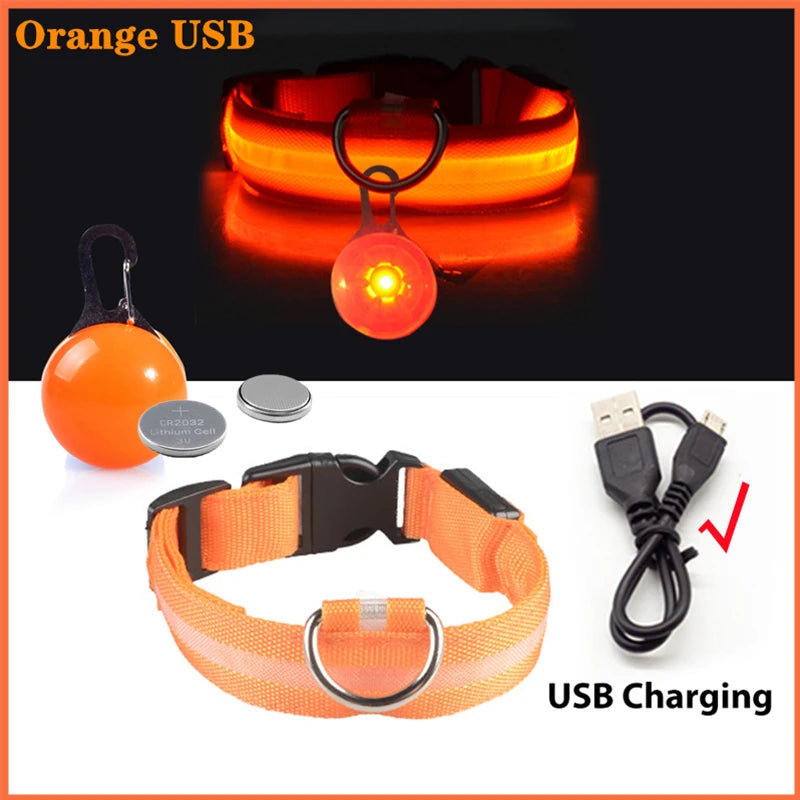 USB Rechargeable LED Dog & Cat Collar – Glowing Night Safety