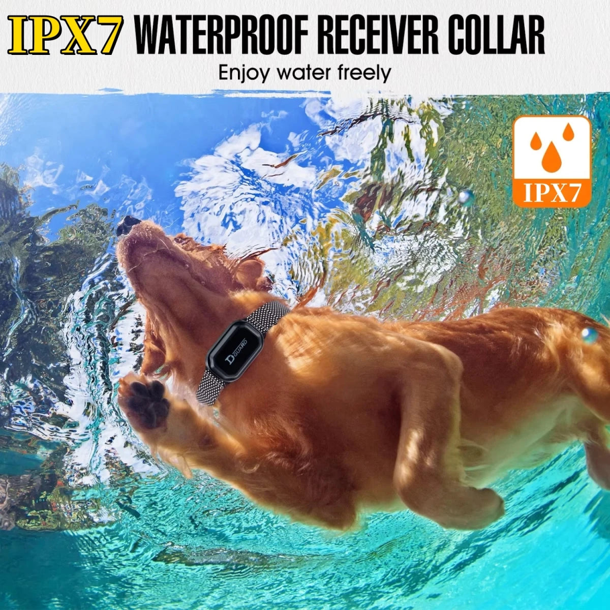 Digital Dog Training Collar – 800m Range, Waterproof & Recha