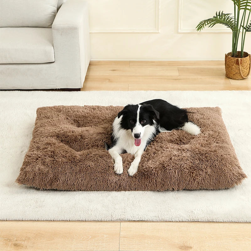 Plush Pet Bed House – Cozy Dog & Cat Sofa
