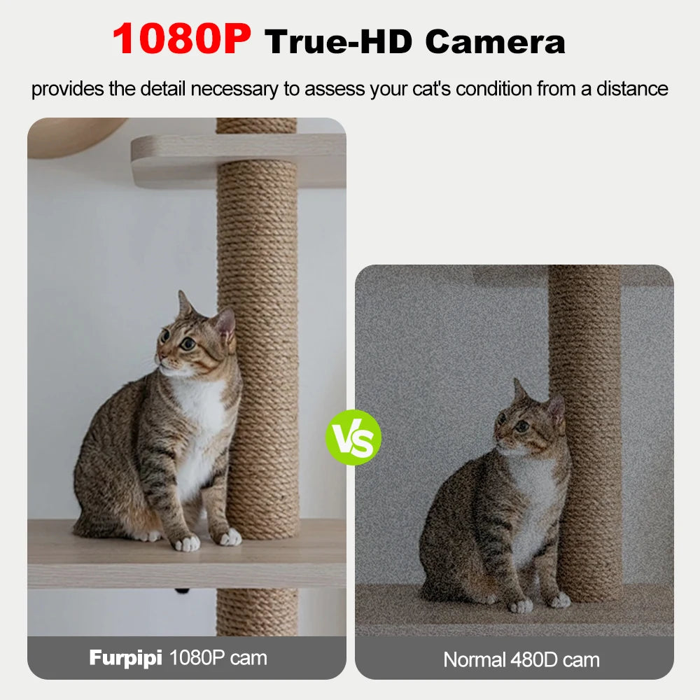 8L Smart Automatic Cat Feeder with Camera & WiFi
