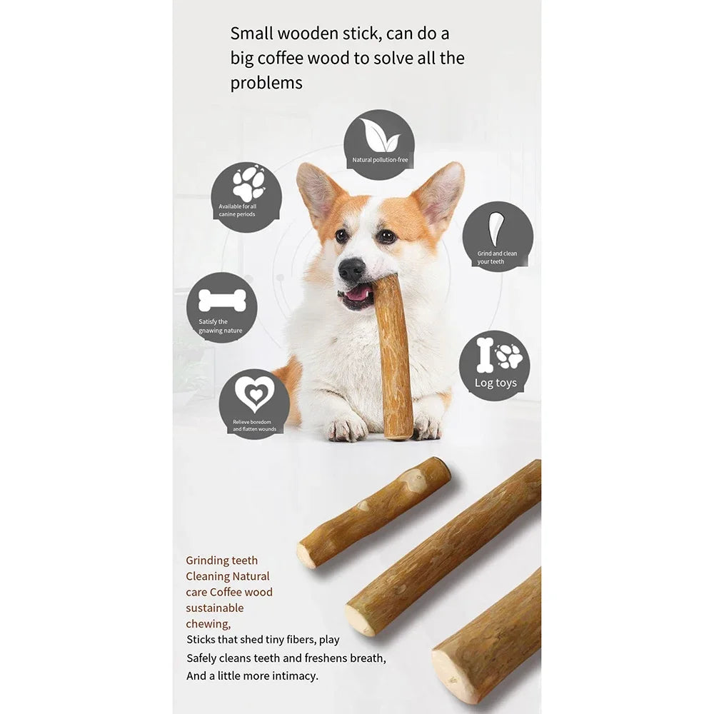 Coffee Wooden Dog Chew Stick – Dental Relief Toy