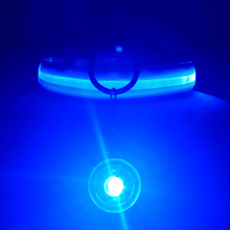 USB Rechargeable LED Dog & Cat Collar – Glowing Night Safety