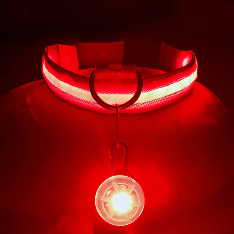USB Rechargeable LED Dog & Cat Collar – Glowing Night Safety