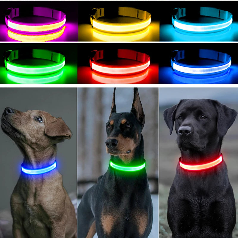 USB Rechargeable LED Dog & Cat Collar – Glowing Night Safety
