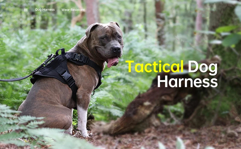 Tactical Dog Harness & Leash Set – Military Style