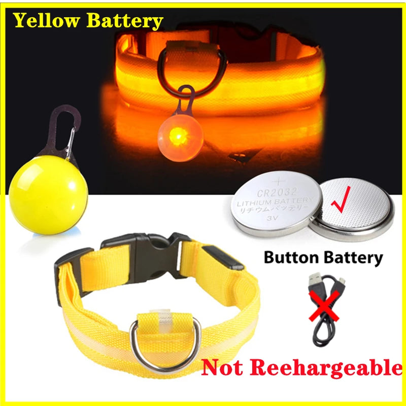 USB Rechargeable LED Dog & Cat Collar – Glowing Night Safety