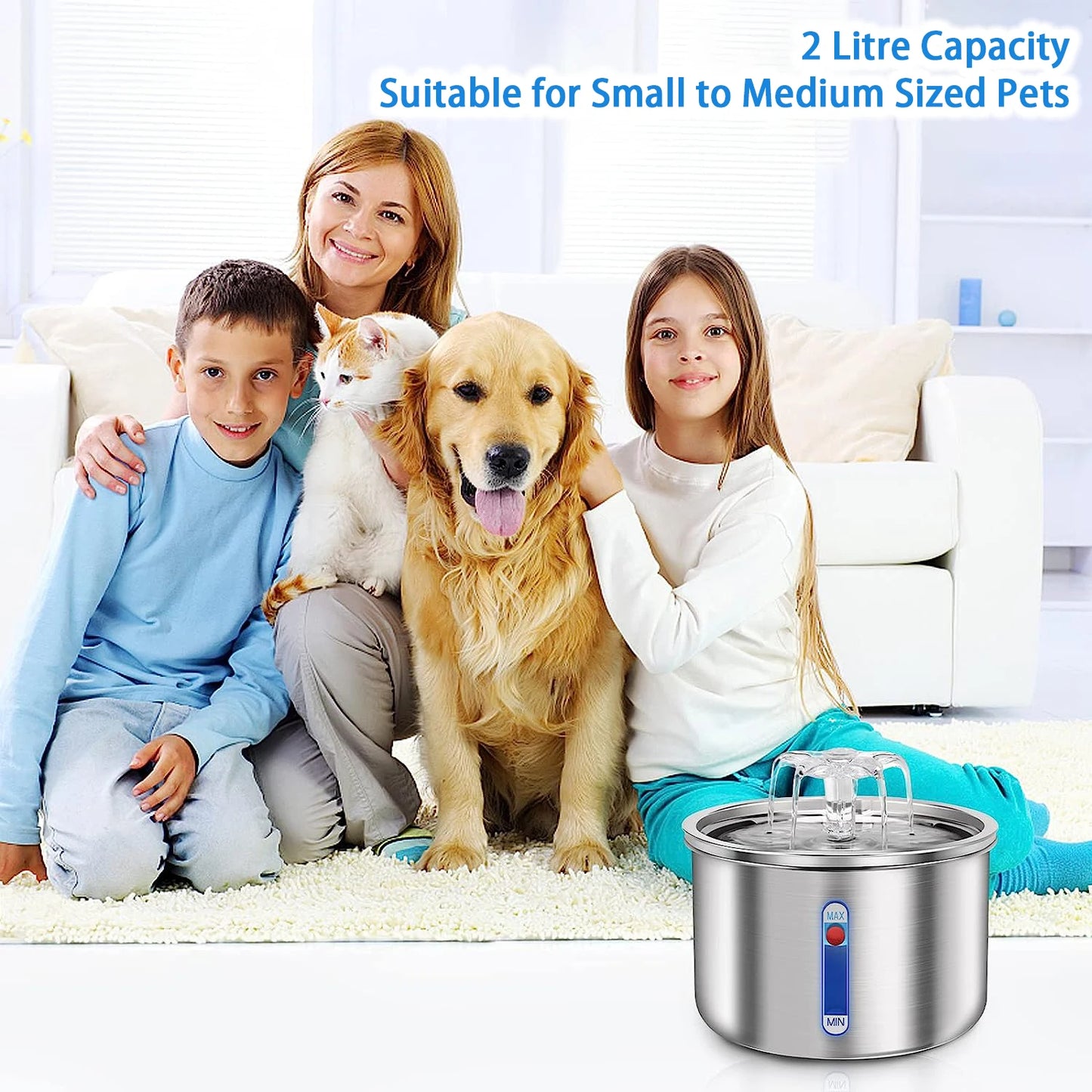 Stainless Steel Automatic Pet Water Fountain – USB Powered