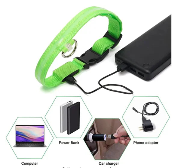 USB Rechargeable LED Dog & Cat Collar – Glowing Night Safety