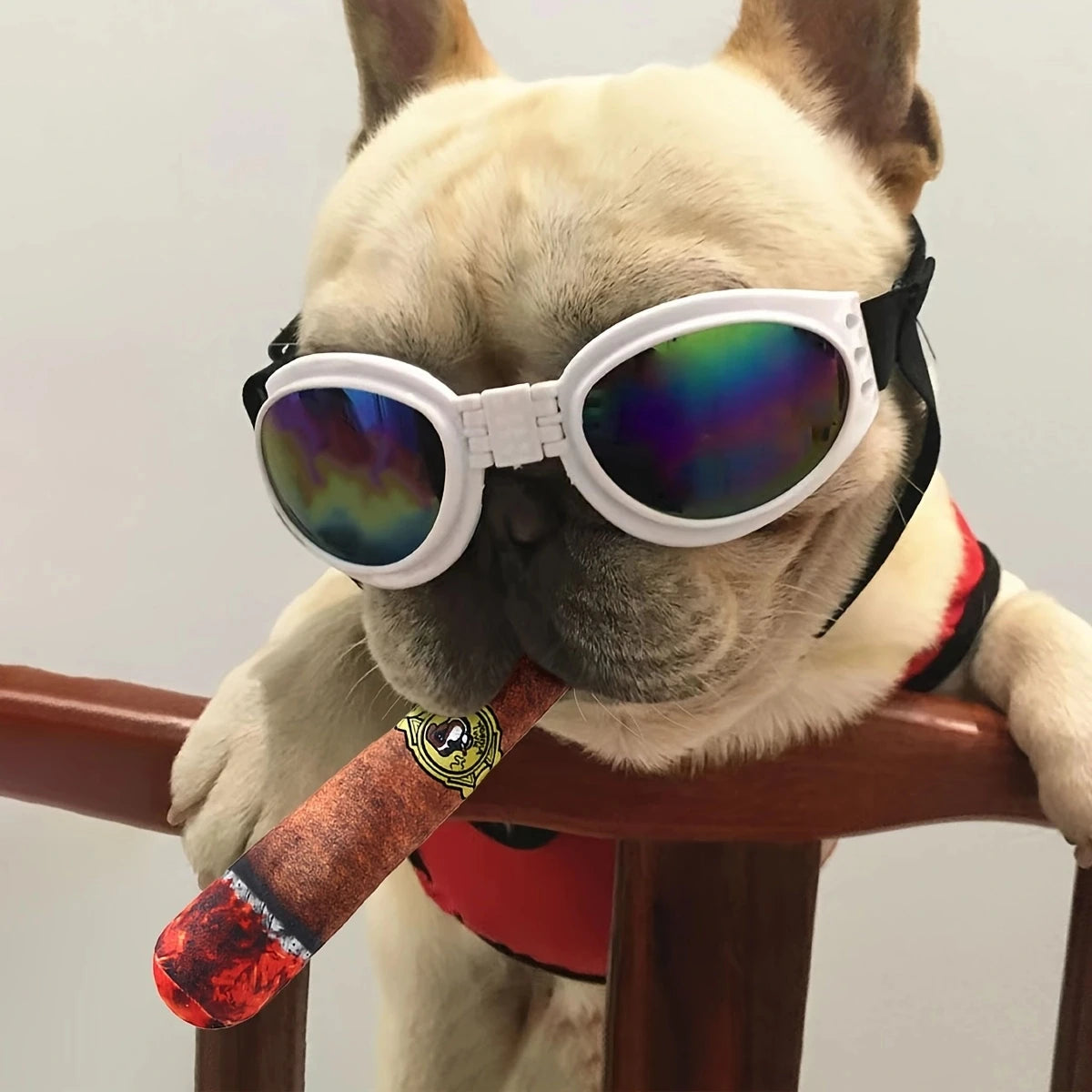 Simulation Cigar Dog Toy – Chew & Boredom Relief