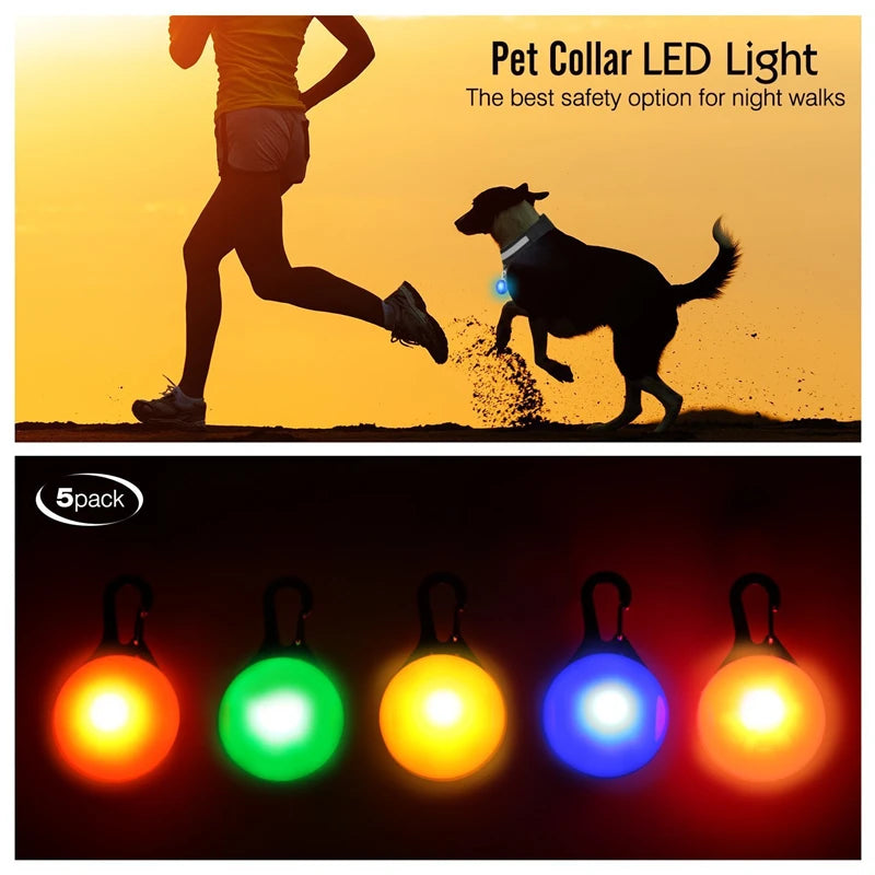 USB Rechargeable LED Dog & Cat Collar – Glowing Night Safety