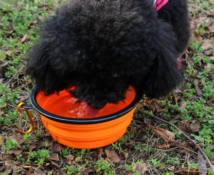 Collapsible Silicone Pet Bowl – Portable Travel Feeder