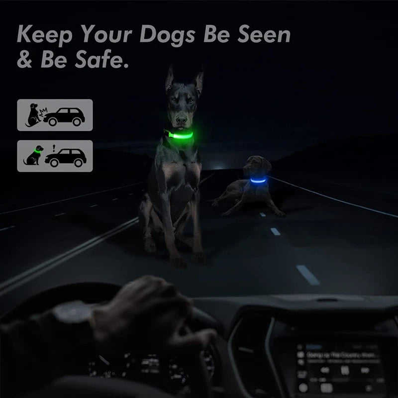 USB Rechargeable LED Dog & Cat Collar – Glowing Night Safety