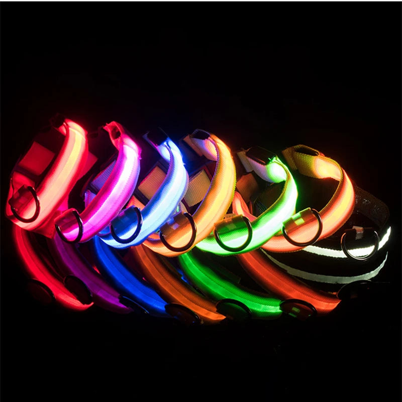 USB Rechargeable LED Dog & Cat Collar – Glowing Night Safety