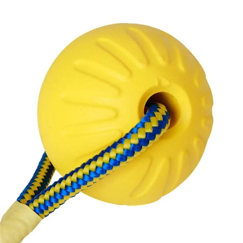 Indestructible Rubber Puppy Chew Ball – Fetch & Training Toy
