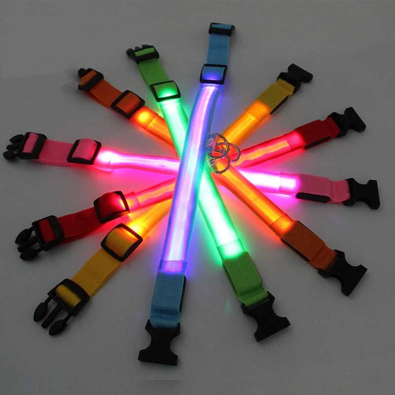 USB Rechargeable LED Dog & Cat Collar – Glowing Night Safety