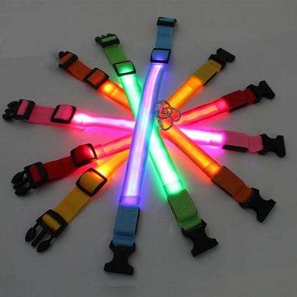 USB Rechargeable LED Dog & Cat Collar – Glowing Night Safety