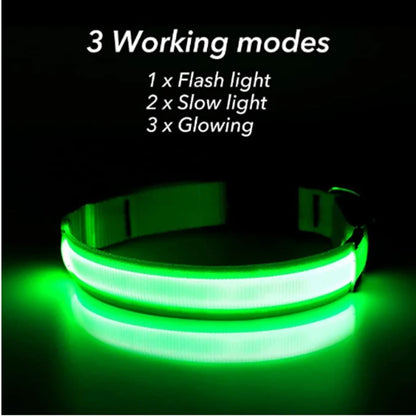 USB Rechargeable LED Dog & Cat Collar – Glowing Night Safety