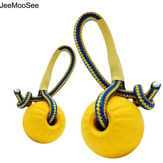 Indestructible Rubber Puppy Chew Ball – Fetch & Training Toy