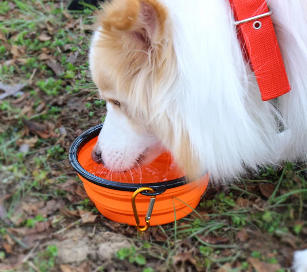 Collapsible Silicone Pet Bowl – Portable Travel Feeder