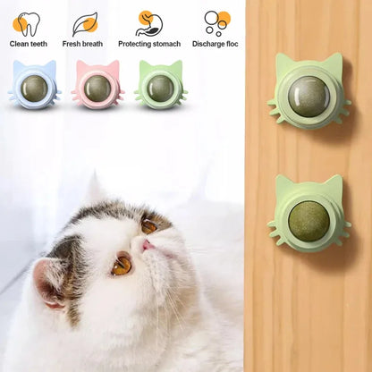 Catnip Lollipop Treat – Dental Care & Fresh Breath
