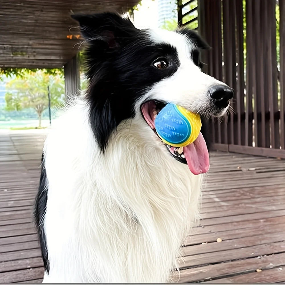 Durable Crew Ball Dog Toy – Interactive Chew & Teeth Grinder