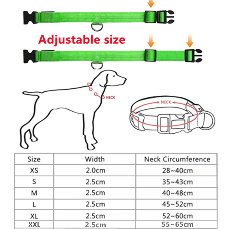 USB Rechargeable LED Dog & Cat Collar – Glowing Night Safety