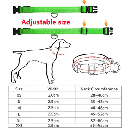 USB Rechargeable LED Dog & Cat Collar – Glowing Night Safety