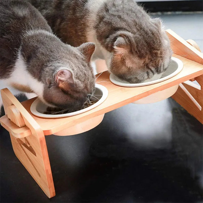 Stainless Steel Double Pet Bowl with Folding Stand