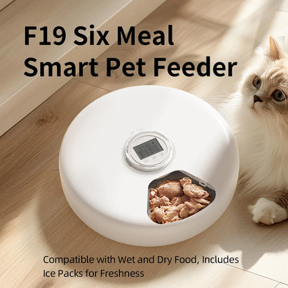 SmartFeast™ 6-Meal Automatic Pet Feeder
