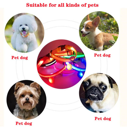 USB Rechargeable LED Dog & Cat Collar – Glowing Night Safety