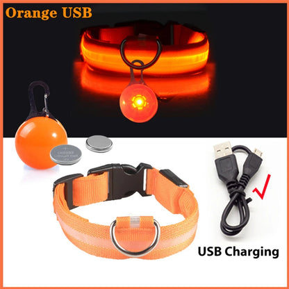 USB Rechargeable LED Dog & Cat Collar – Glowing Night Safety