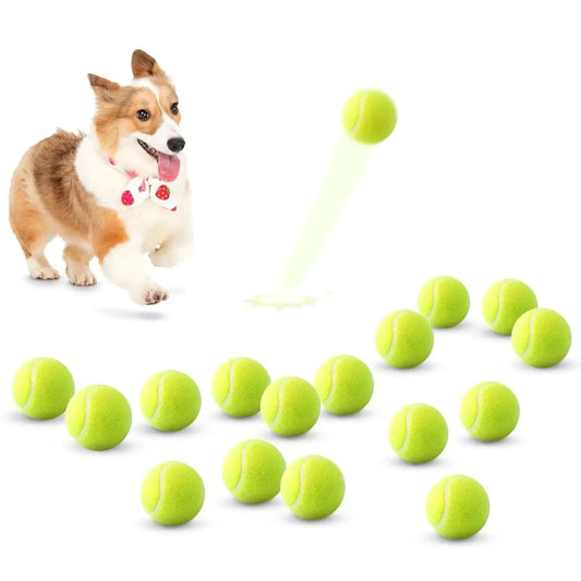 2-Inch Tennis Balls for Dogs – 12-Pack