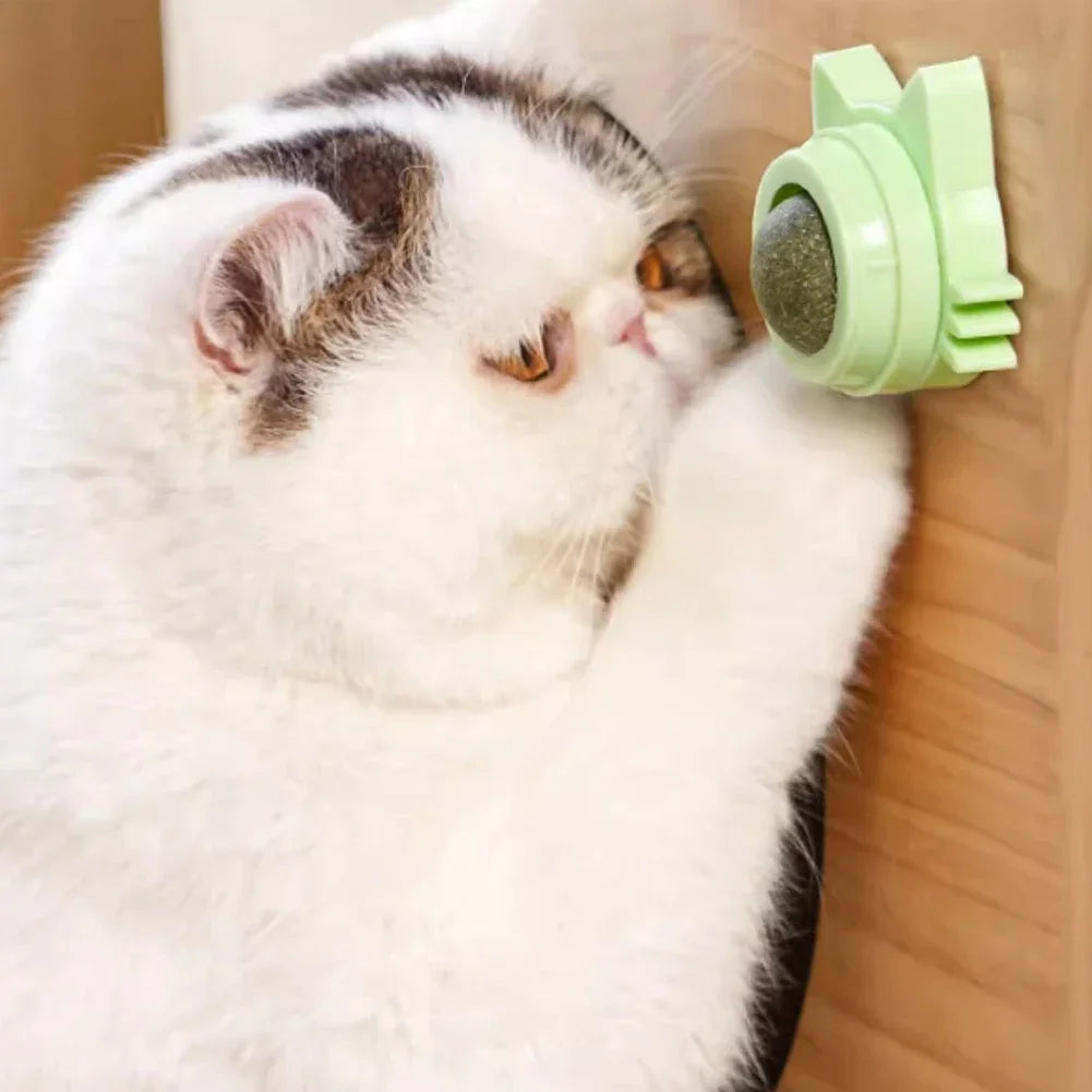 Catnip Lollipop Treat – Dental Care & Fresh Breath