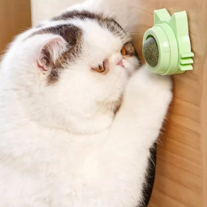 Catnip Lollipop Treat – Dental Care & Fresh Breath