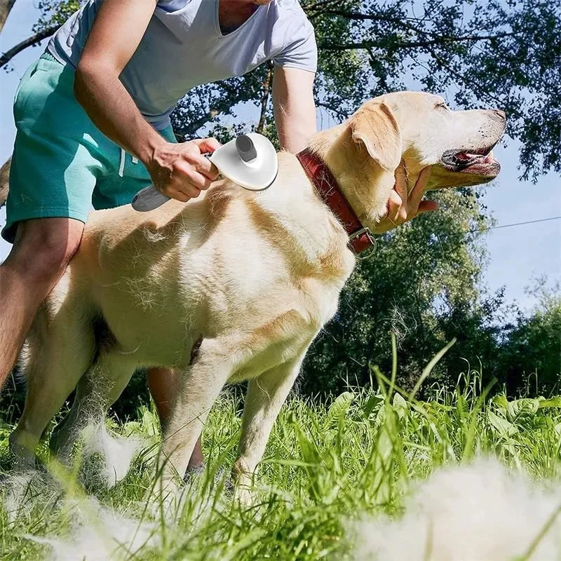 Self-Cleaning Pet Hair Remover Brush – Dog & Cat Grooming Tool