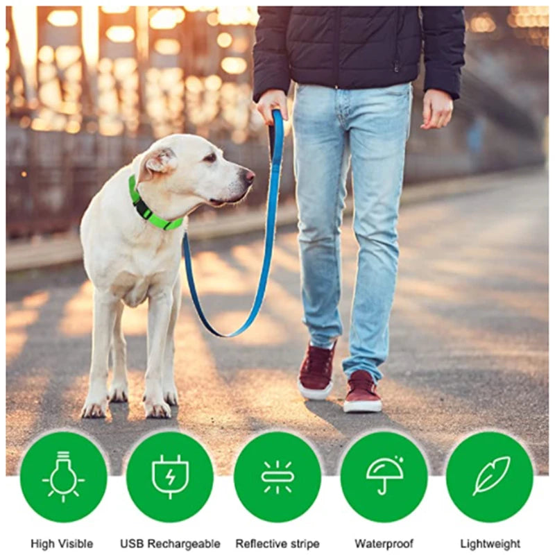 USB Rechargeable LED Dog & Cat Collar – Glowing Night Safety