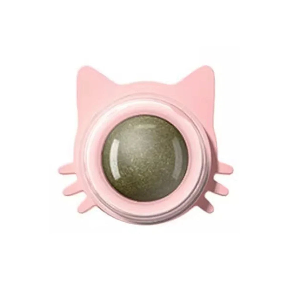 Catnip Lollipop Treat – Dental Care & Fresh Breath