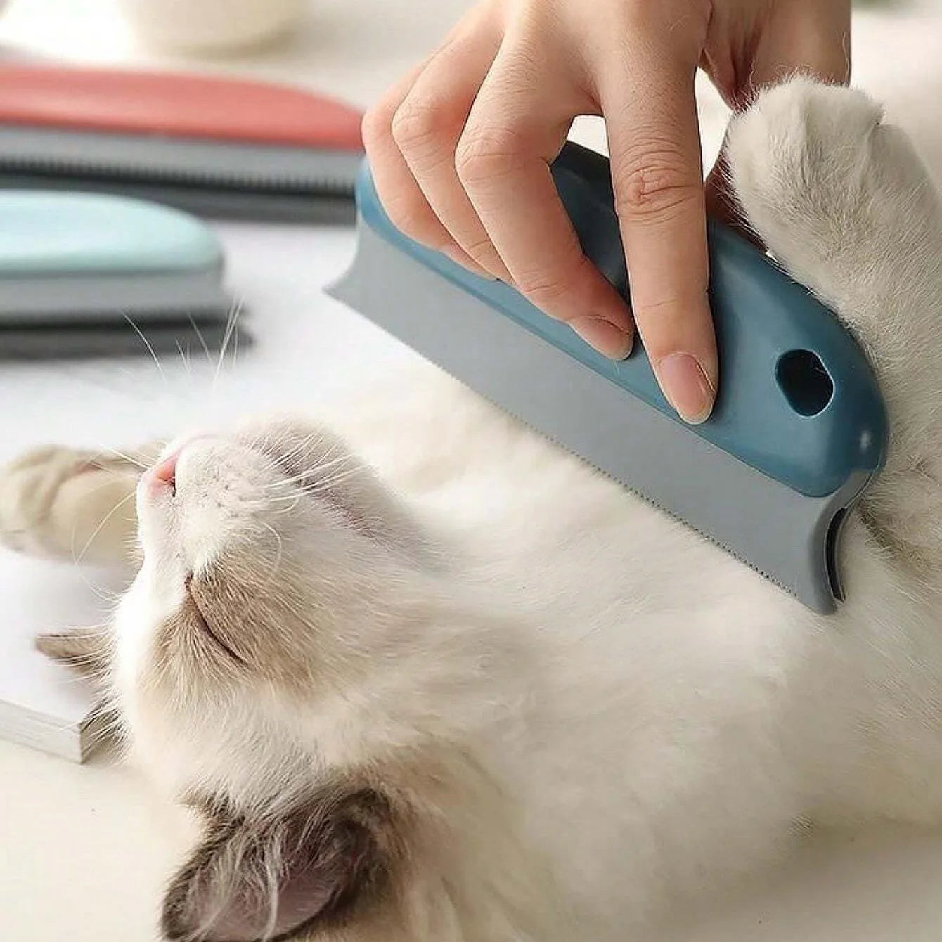 Effective Pet Hair Remover Brush – Dog & Cat Grooming