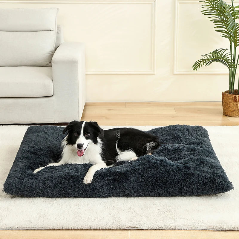 Plush Pet Bed House – Cozy Dog & Cat Sofa