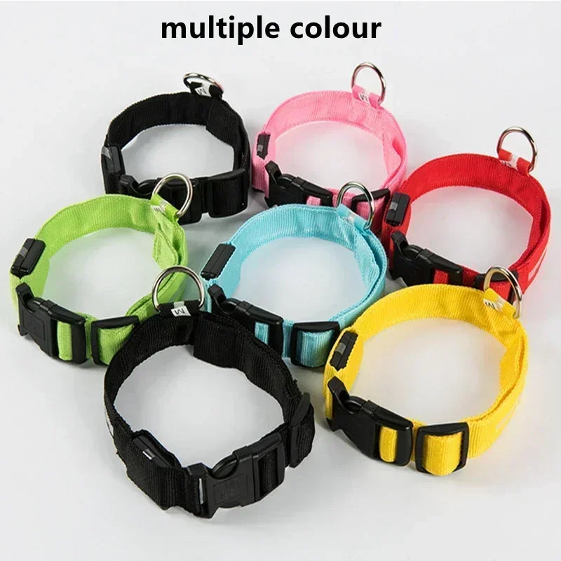 LED Glowing Dog Collar – Adjustable Flashing Night Safety