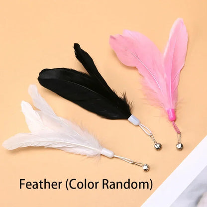 Cat Teaser Wand – Bell & Replaceable Feather Toy