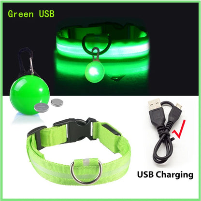 USB Rechargeable LED Dog & Cat Collar – Glowing Night Safety