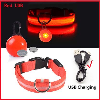 USB Rechargeable LED Dog & Cat Collar – Glowing Night Safety
