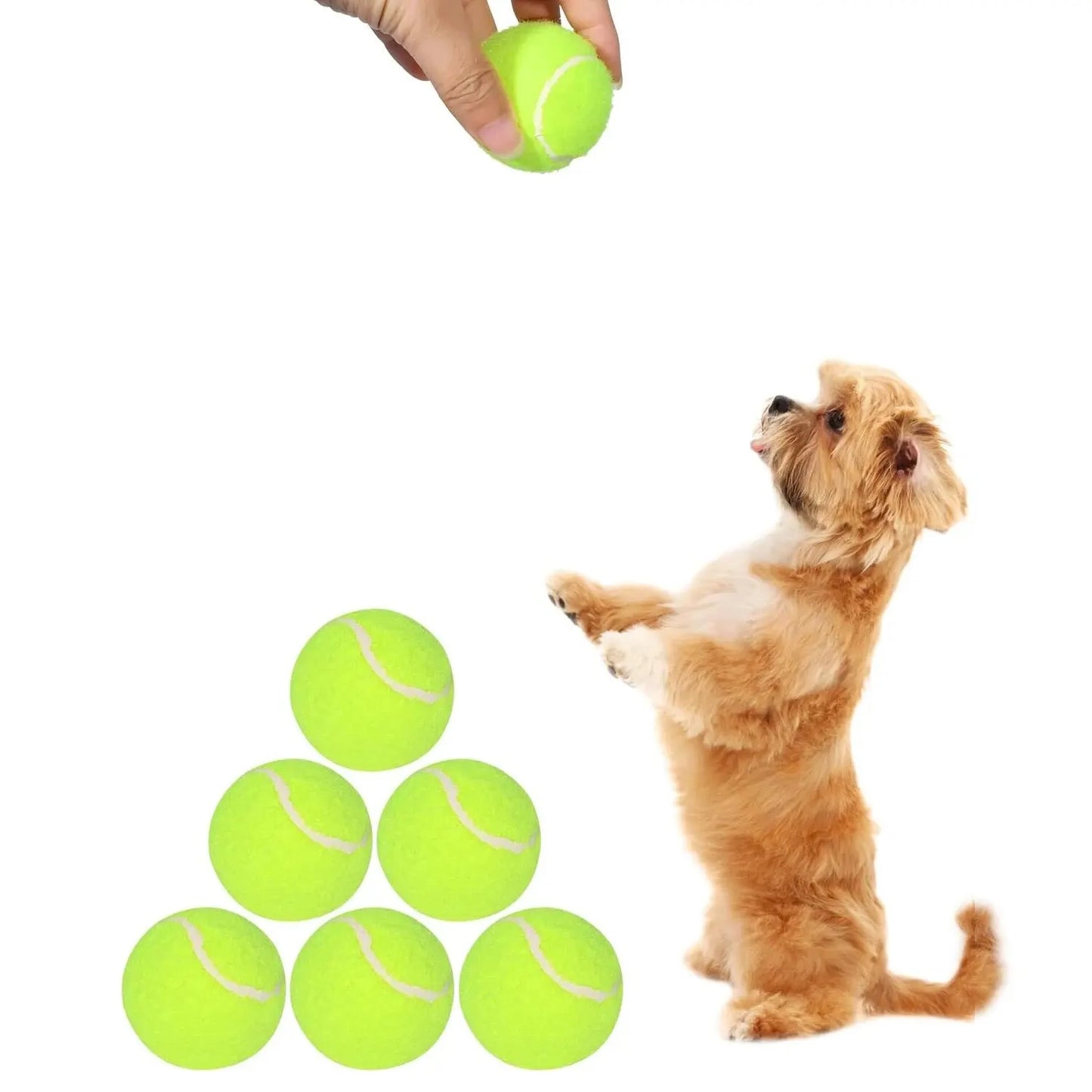 2-Inch Tennis Balls for Dogs – 12-Pack