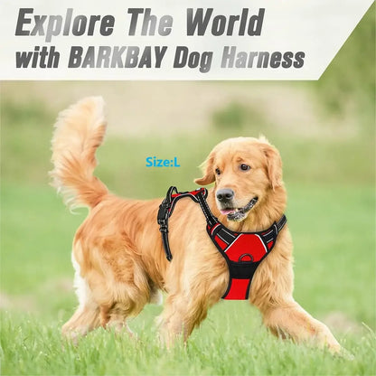 No-Pull Dog Harness – Heavy Duty with Front Clip